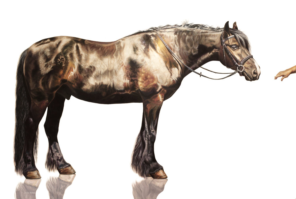 Steadfast+Documentation